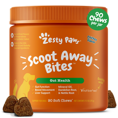 TheZesty Paws