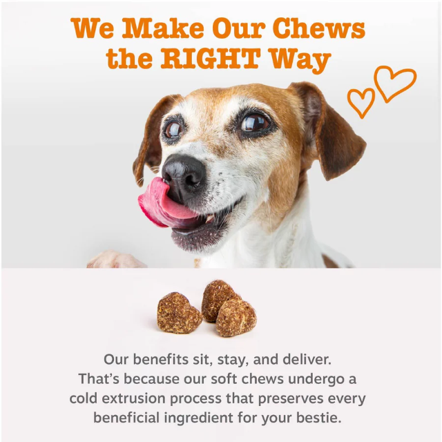 8-in-1 Multivitamin Bites for Dogs