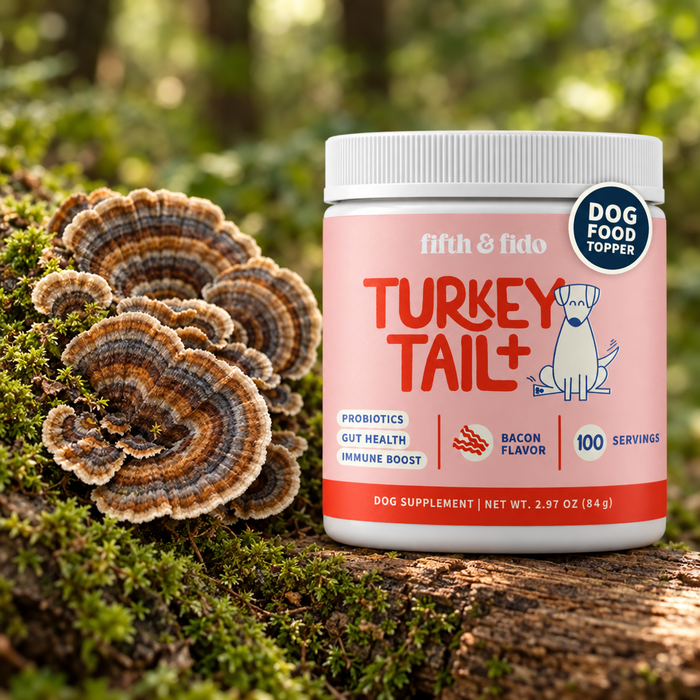 Turkey Tail Mushroom